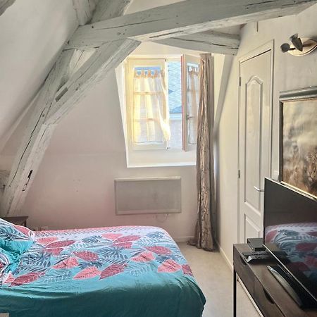 Le Pacific - Appartement Spacieux Centre Ville Orléans Eksteriør bilde