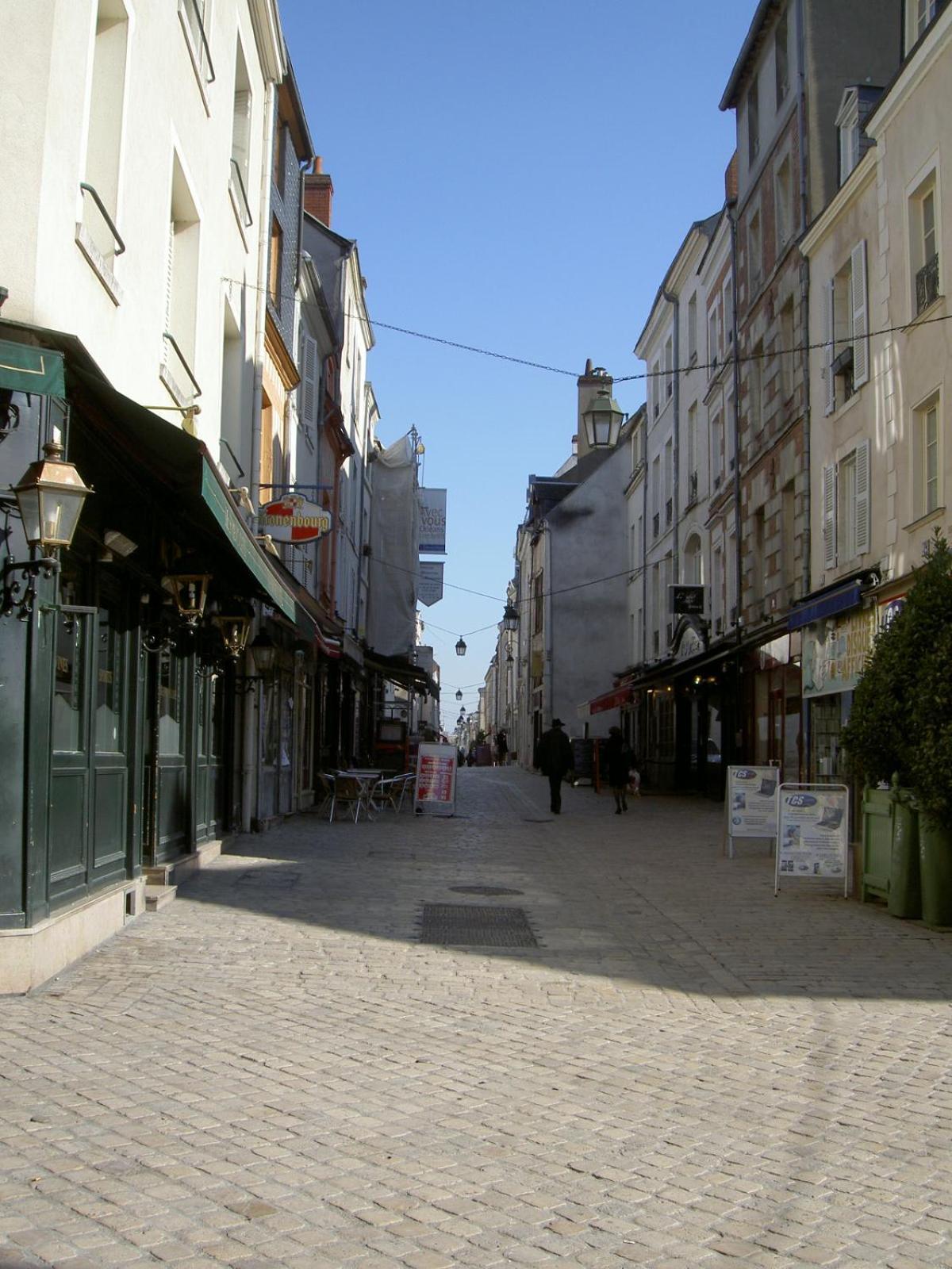 Le Pacific - Appartement Spacieux Centre Ville Orléans Eksteriør bilde