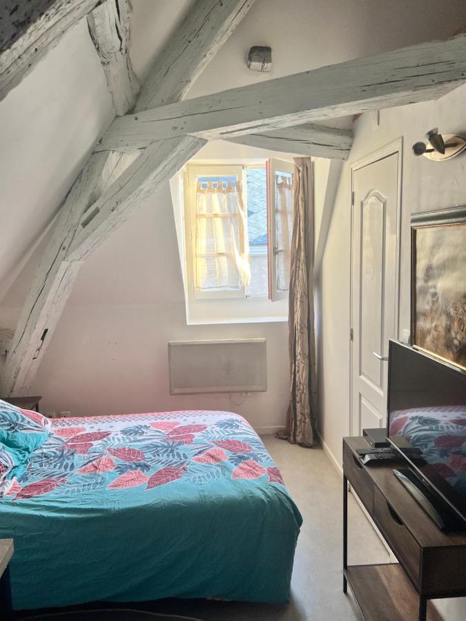 Le Pacific - Appartement Spacieux Centre Ville Orléans Eksteriør bilde